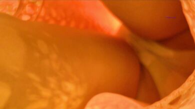 大神旅游景区一路走一路抄底众多的美女少妇眼界大开 (12)